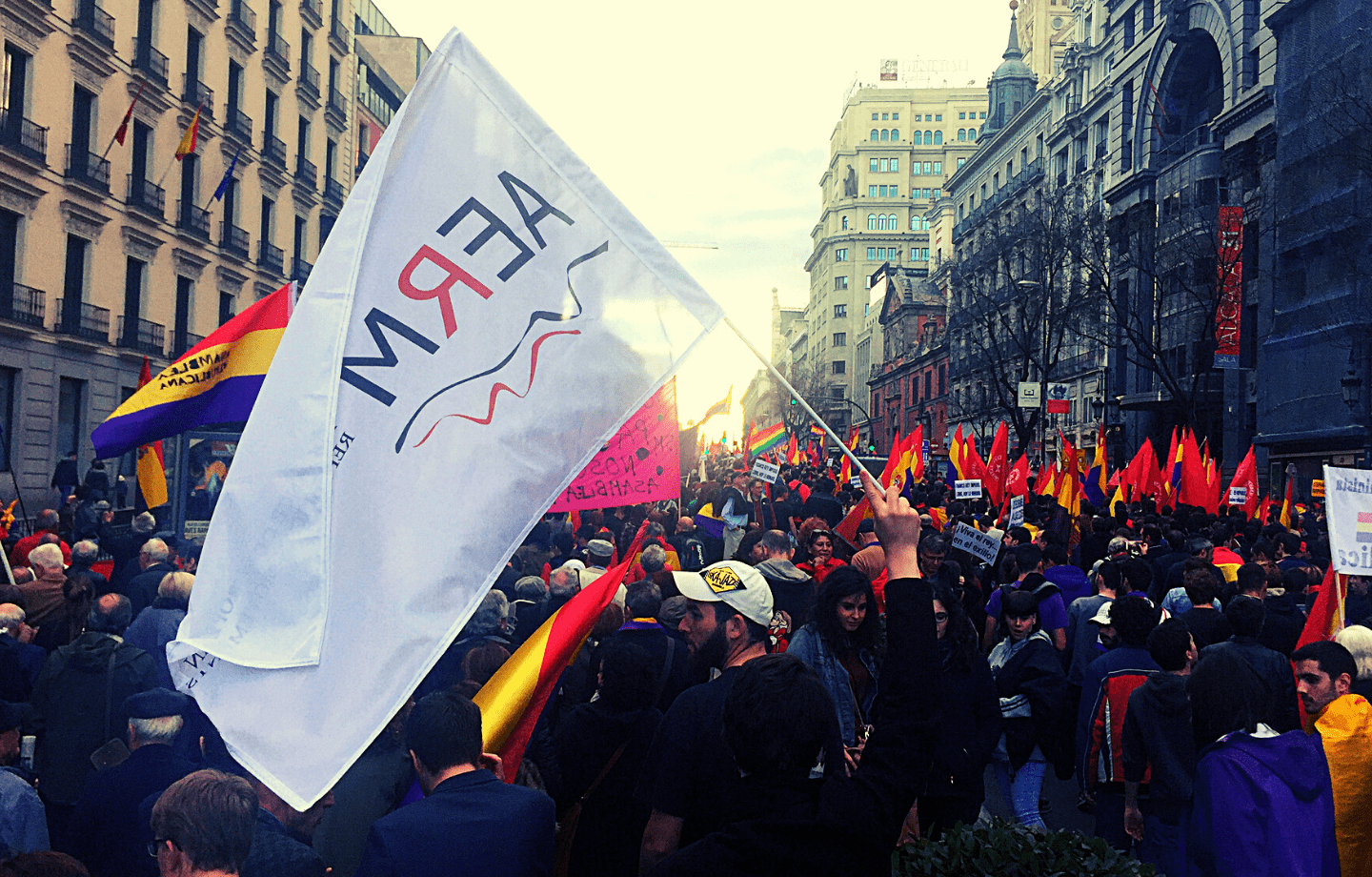Alliance of European Republican Movements